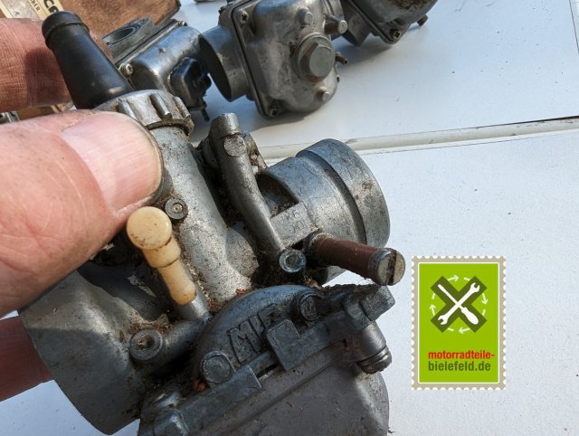 PXL_20240517_160835697